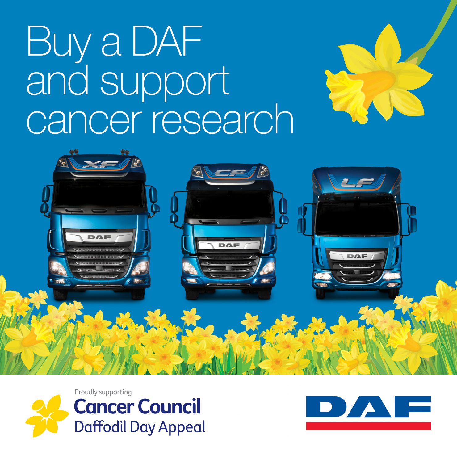 DAF Cancer Research